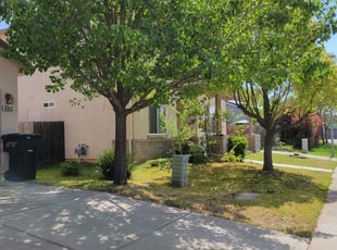 Bush Trimming by Joshua Muehe for Charlotte M. in Sacramento, CA