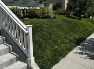 Derek P.'s Lawn Care service result