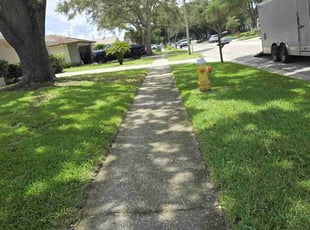 Duane -.'s Grass Cutting service result