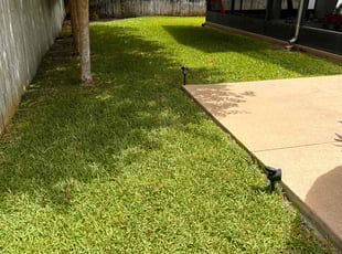 Donna V.'s Lawn Mowing Service service result