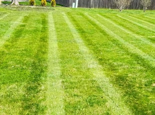 Chandra C.'s Lawn Maintenance service result
