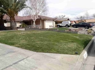 Dion D.'s Lawn Mowing Service service result