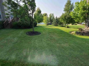 Kathy K.'s Lawn Maintenance service result