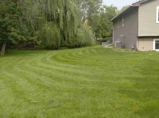 Anthony F.'s Lawn Mowing service result