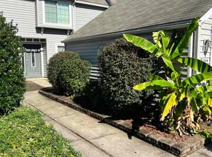 Bush Trimming by Casey Bryant for Areon M. in Virginia Beach, VA