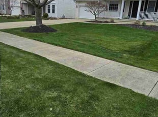 Jackie B.'s Lawn Maintenance service result