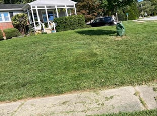 Harry M.'s Lawn Mowing service result