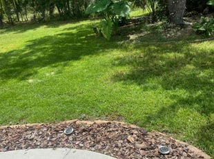 Chastity H.'s Grass Cutting service result