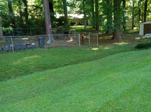Kimberly P.'s Lawn Care service result