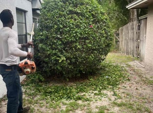 Bush Trimming by Josue Nunez for Alicia C. in Casselberry, FL