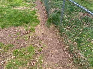 Leaf Removal by Angel Madera for Walter D. in New Britain, CT