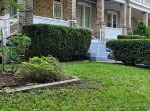 Bush Trimming by Kevin Sosa for Howard D. in Washington, DC