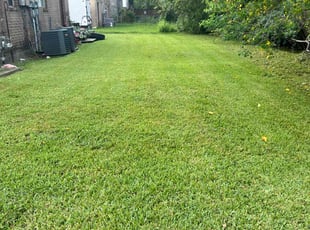 Daniel S.'s Lawn Service service result