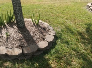 Weeding by Yanet Maciel for Dennis M. in Pearland, TX