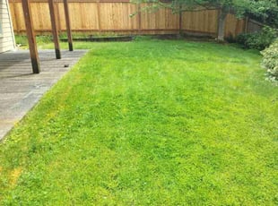 Victoria A.'s Yard Cutting service result