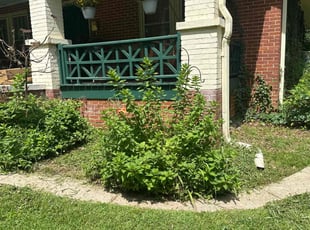 Weeding by Brandon McGee for Kelly G. in Inman, SC