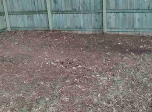 Leaf Removal by Joe Dortch for Sheena G. in Glen Allen, VA