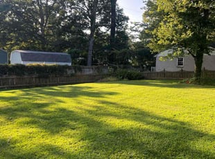 ReNeβe T.'s Yard Cutting service result