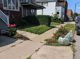 Bush Trimming by Rodney Dockery for Alyssa B. in Buffalo, NY