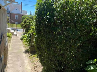 Bush Trimming by Darren Burch for Charlene C. in Philadelphia, PA