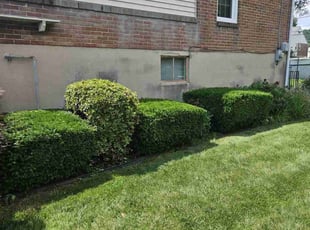 Bush Trimming by Amy Gribben for Robin A. in Reading, PA