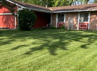 Tim M.'s Lawn Mowing service result