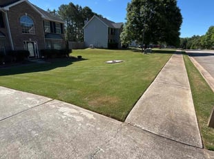 Caroline F.'s Grass Cutting service result