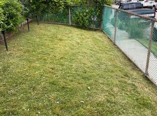 Denise O.'s Lawn Mowing Service service result