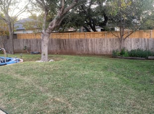 Leaf Removal by Spencer Reed for Angela M. in Cedar Park, TX