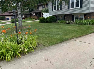 Dave N.'s Lawn Mowing service result