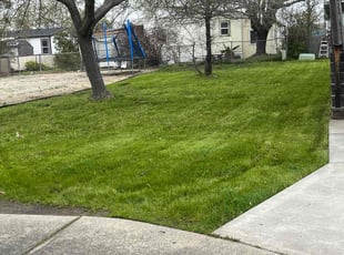 Tori T.'s Lawn Service service result
