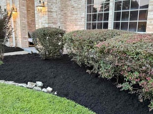 Mulching by Edwin Fernandez for Mike B. in Houston, TX