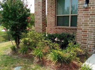 Bush Trimming by Gralin Johnson for 3912 crater circle Ft worth 76137 H. in Fort Worth, TX