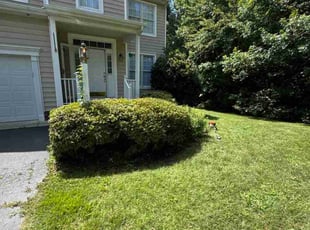 Zerong C.'s Bush Trimming service result