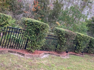 Bush Trimming by Ramon Gonzalez for Behiye Y. in Orlando, FL