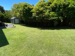 Grace H.'s Lawn Mowing service result