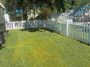 Sandra B.'s Lawn Service service result