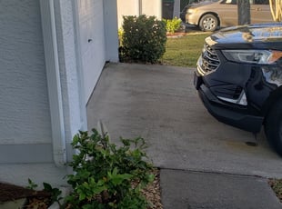 Bush Trimming by Tyler Buschbom for Steve C. in Orlando, FL