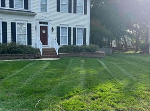 Shahana A.'s Lawn Mowing Service service result