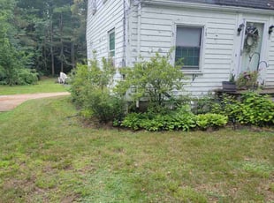 Bush Trimming by Chris Lee for Jessica S. in Dover, NH