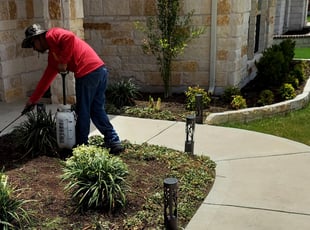 Weeding by Rene Gabriel Ramirez for Yuan Y. in Pflugerville, TX
