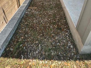 Weeding by Leonel Zecena for Joici J. in Austin, TX