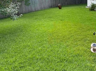 Bruce T.'s Grass Cutting service result