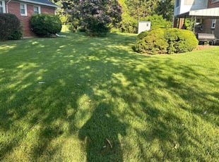 Willie J.'s Lawn Mowing Service service result