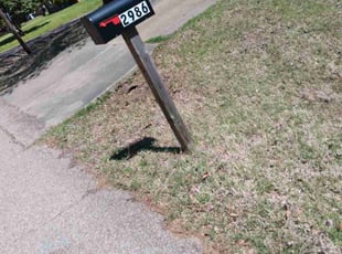 Leaf Removal by Frederick Tarden for Missy R. in Bartlett, TN