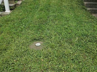 Carol O.'s Lawn Mowing service result