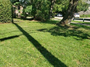 Jillian B.'s Grass Cutting service result
