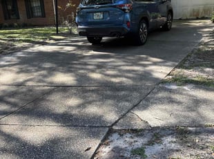 Leaf Removal by Luis Longa for Lorraine K. in Orlando, FL