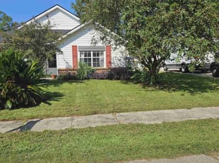 Mitsybella M.'s Lawn Care service result
