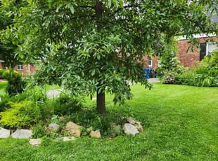 Michael J.'s Lawn Maintenance service result